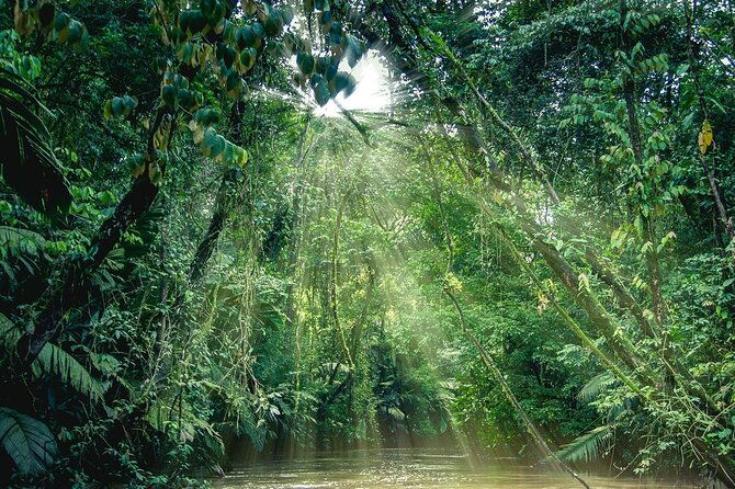 shared-shuttle-arenal-to-tortuguero