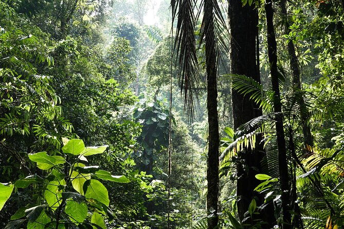 shared-shuttle-manuel-antonio-to-monteverde