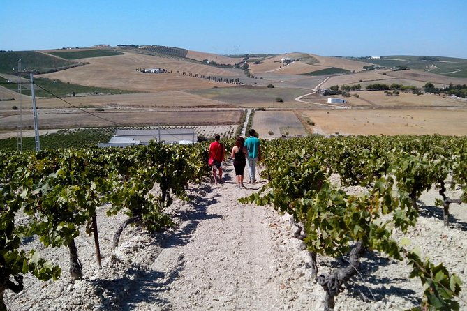 sherry-experience-in-the-vineyard
