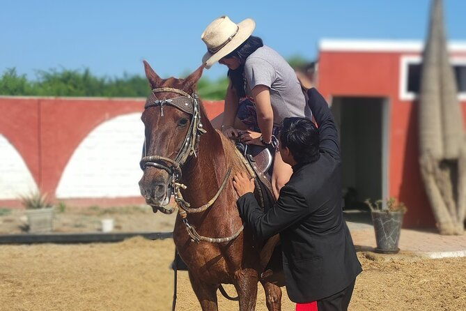 shore-excursion-from-salaverry-marinera-city-tour-in-trujillo