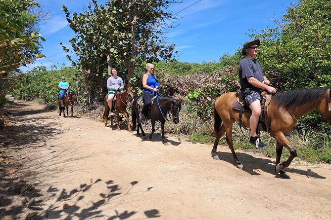 shore-excursion-horseback-ride-zip-line-wildlife-and-snorkel