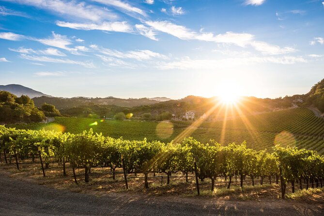 shore-excursion-in-sfo-enchanted-napa-sonoma-wine-tour-in-suv