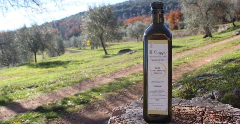 siena-evo-oil-experience-with-walk-tasting-and-lunch