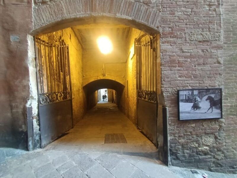 siena-street-food-gelato-tasting-3