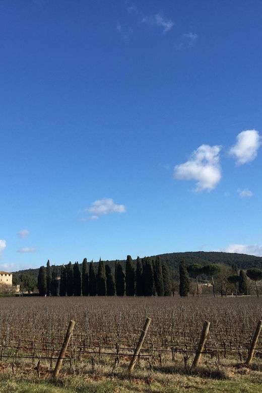 siena-tour-and-wine-tasting-in-a-tuscan-private-castle