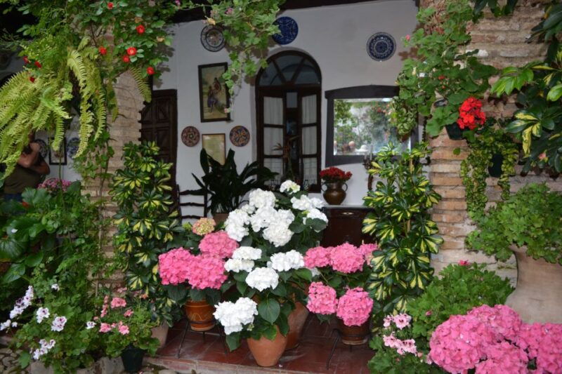 sights-sounds-and-scents-of-cordobas-patios