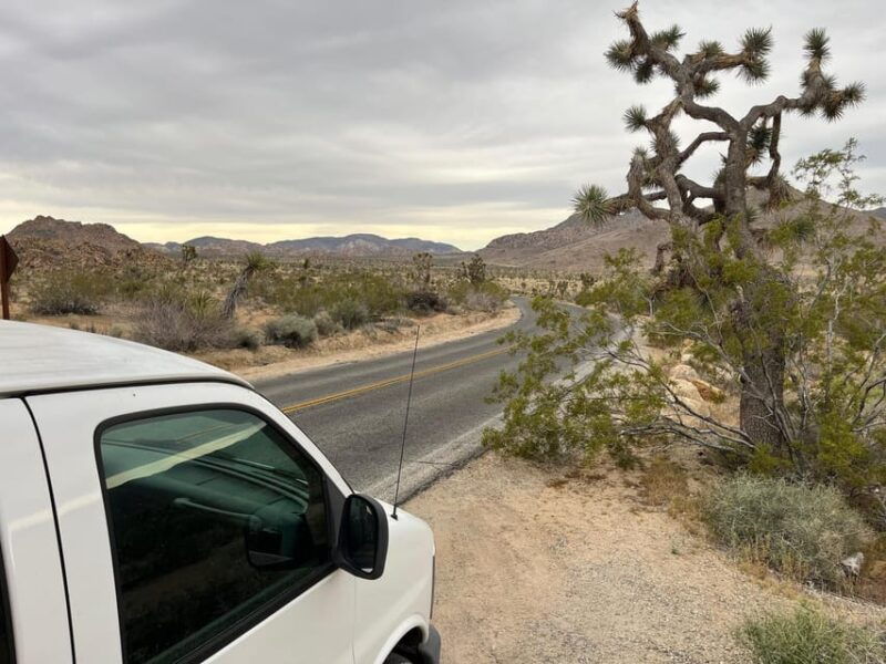 sightseeing-adventure-tour-of-joshua-tree-park-max-10