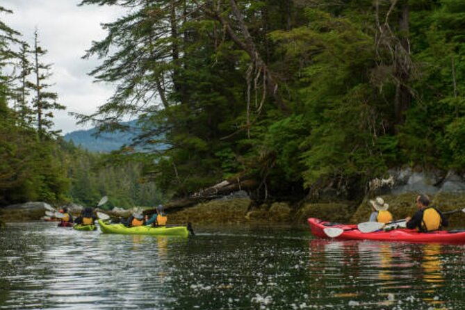 sitka-shore-excursion-sitka-harbor-islands-guided-kayaking
