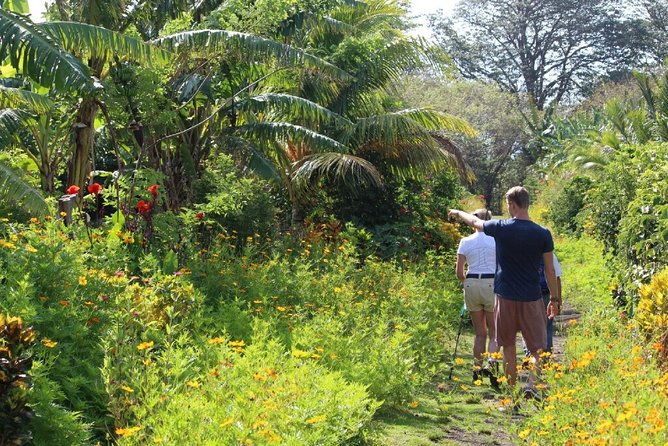 small-group-expedition-of-ometepe-highlights-with-el-ceibo-museum