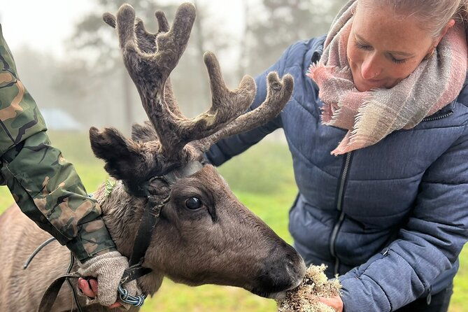 small-group-fishing-lunch-reindeer-farm-visit-in-the-wilderness