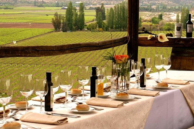 small-group-tour-portillo-ski-center-inca-lagoon-plus-premium-wineries-in-aconcagua-valley