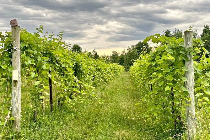 small-group-wine-cider-tour-in-vermont