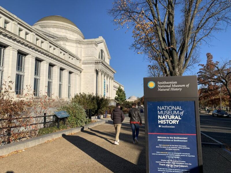 smithsonian-national-museum-of-natural-history-guided-tour