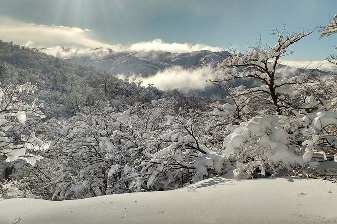 snow-excursion-in-bariloche-suitable-for-the-whole-family