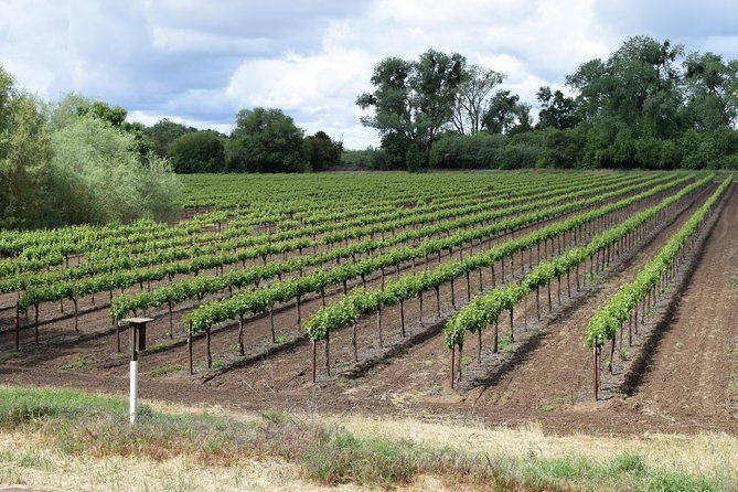 sonoma-and-napa-wine-tour-private-tours-8-to-10-hours-max-14-pax