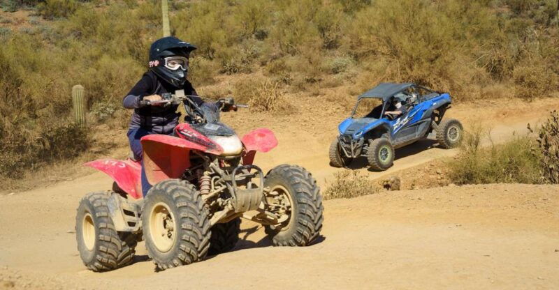 sonoran-desert-guided-utv-or-atv-desert-tour