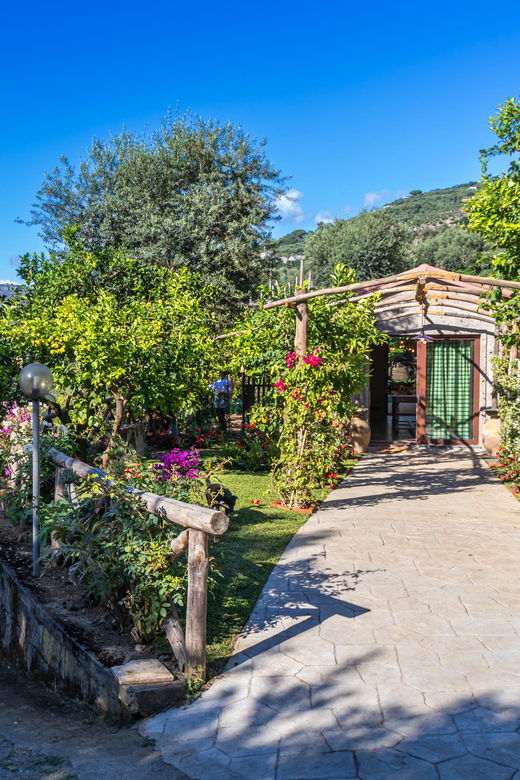 sorrento-cooking-class-taste-the-tradition-feel-the-love