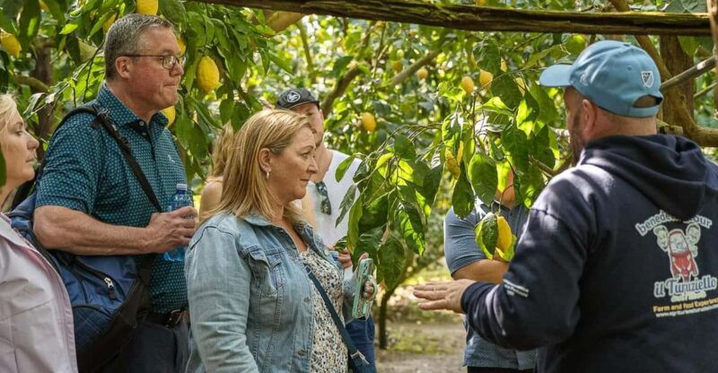sorrento-lemons-grovecheese-show-with-local-food-tasting