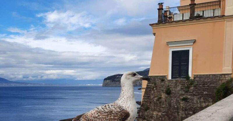 sorrento-walking-in-the-grand-tour-with-stunning-landscapes