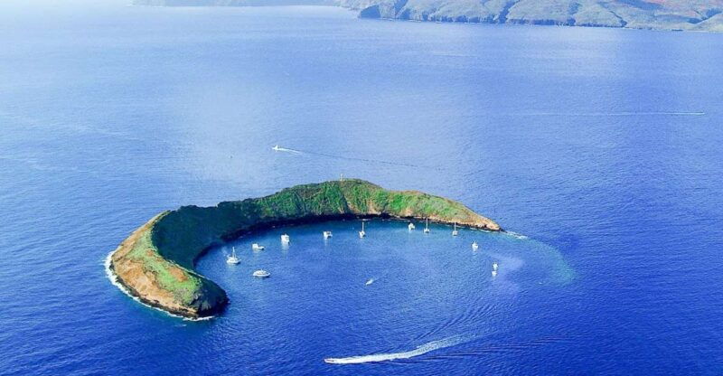 south-maui-molokini-turtle-town-snorkeling-tour-with-meal