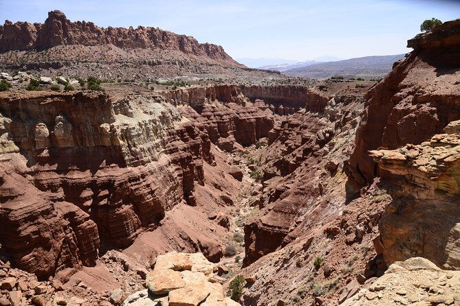 spectacular-8-hour-guided-llama-hike-with-lunch-and-dinner