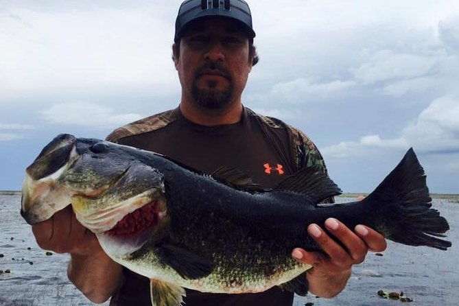 st-johns-river-fishing-trip-near-daytona