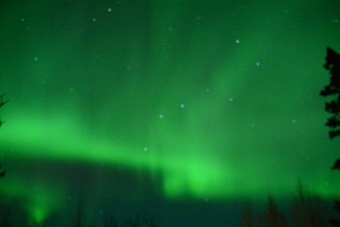 starlight-snowshoe-adventure-in-alaska