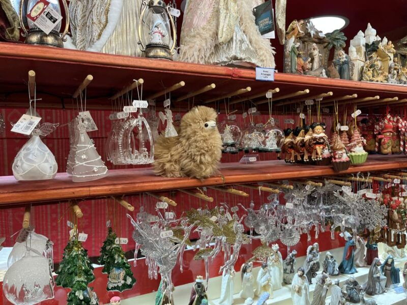 strasbourg-christmas-walking-tour-with-mulled-wine