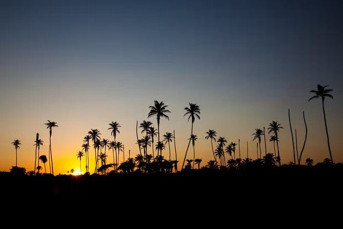sunrise-tour-at-san-andres-natural-aquarium-2