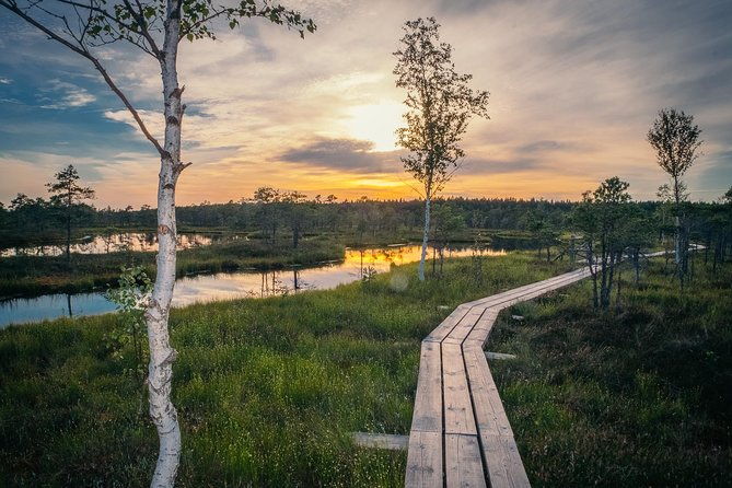 sunrise-tour-to-great-kemeri-bog