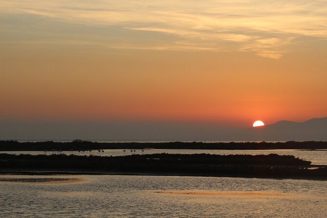 sunset-among-flamingos-in-the-ebro-delta