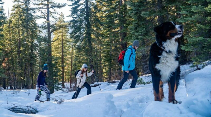 sunset-snowshoe-guided-hike