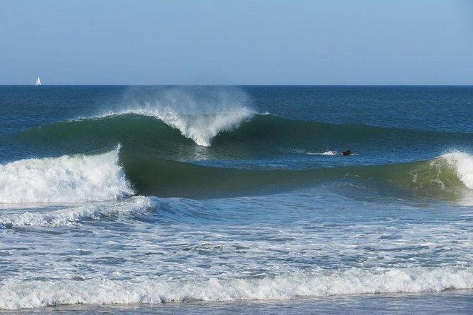surf-dream