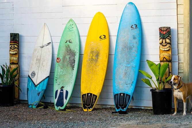 surfboard-rental-all-day-solana-beach-fletchers-cove