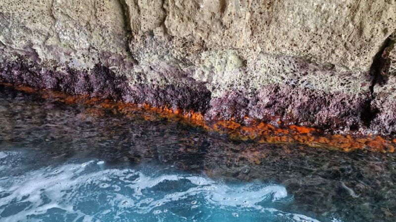 syracuse-picnic-boat-tour-of-pillirina-ortigia-sea-caves