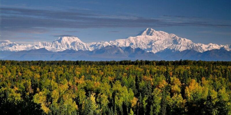talkeetna-denali-zipline-tours