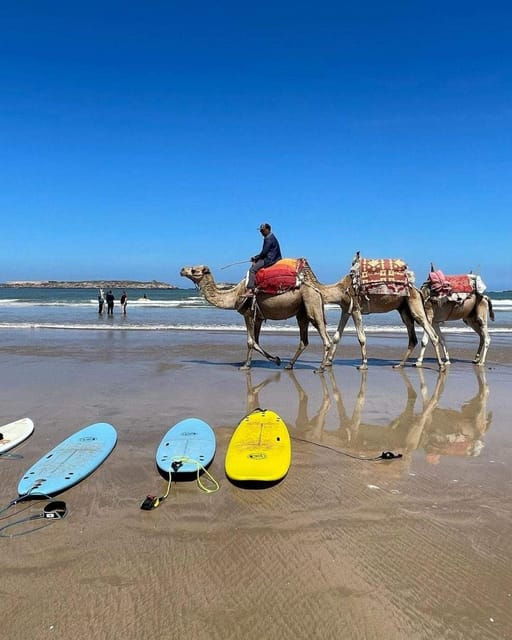 tangier-day-trip-from-tarifa-with-camel-ride-lunch