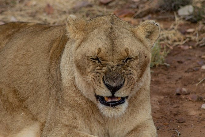 tanzania-safari-1-day-arusha-national-park-visit