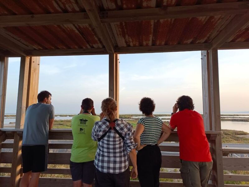 tarragona-southern-delta-birdwatching-private-tour