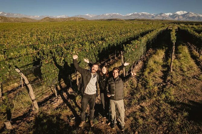 taste-routes-wines-and-oils-of-mendoza