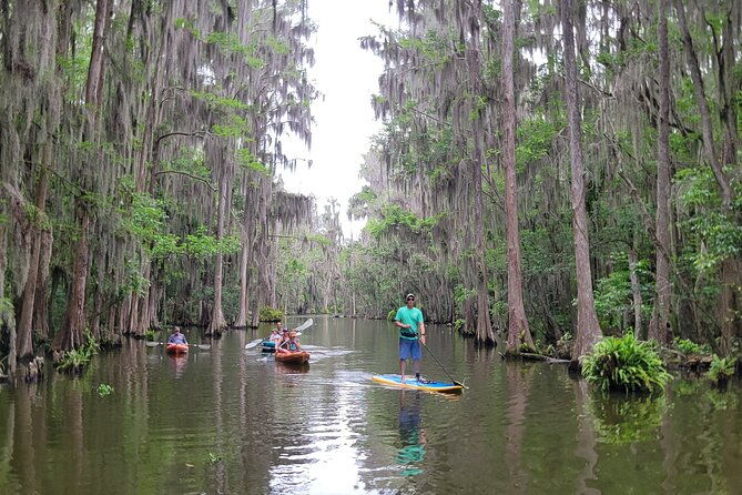 tavares-poppys-sweet-paddle-adventure-with-ice-cream