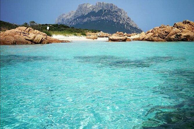 tavolara-marine-protected-area-tour-group