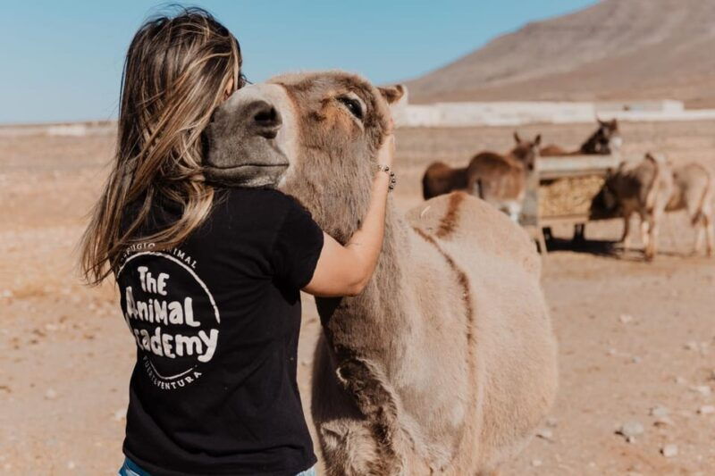the-animal-academy-shelter-tour