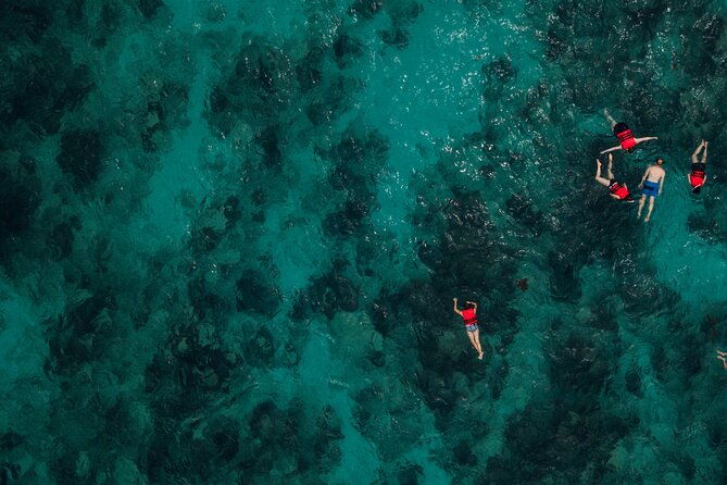 the-artisan-sea-kayak-adventure-4-in-1