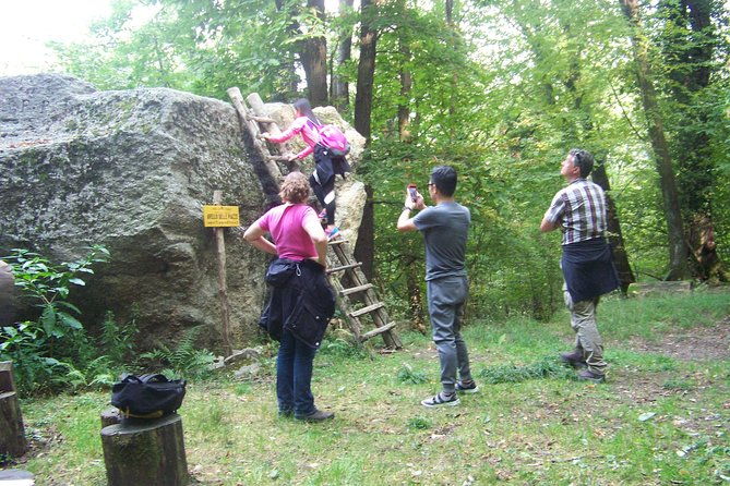the-avellis-mystery-the-pendula-stone-and-the-boulders