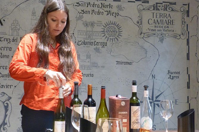 the-beginning-winetour-for-2-people-history-and-wines
