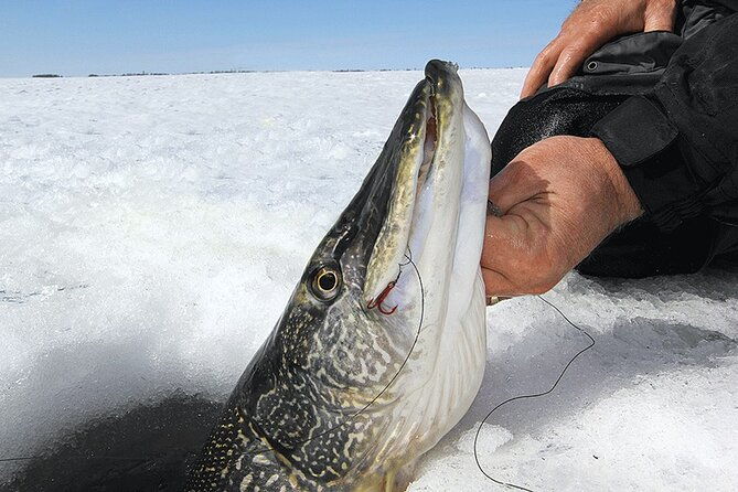 the-date-with-aurora-ice-fishing-tour-from-fairbanks