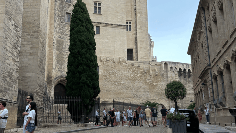 the-essence-of-provence-avignon-st-remy-les-baux-arles