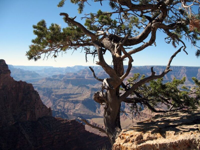 the-grand-canyon-classic-tour-from-sedona-az