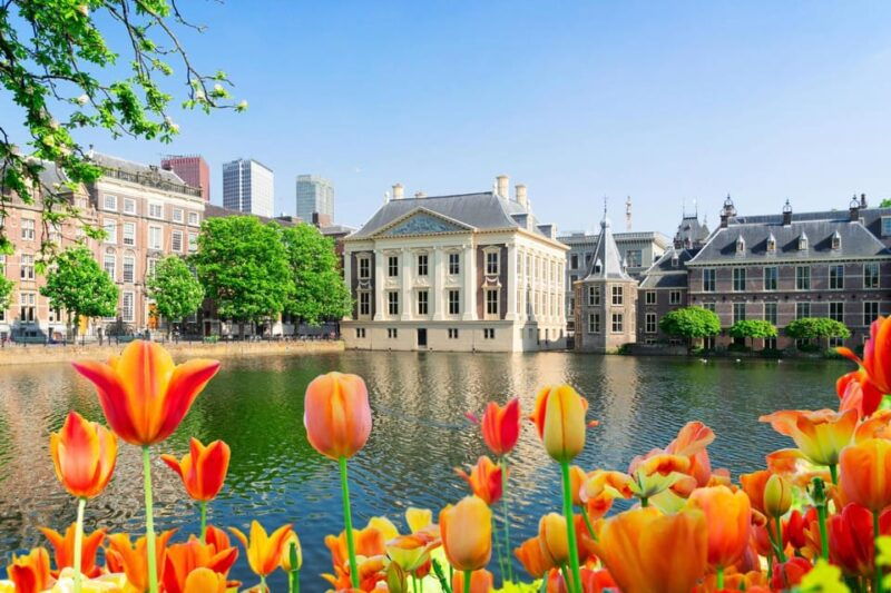 the-hague-insta-perfect-walk-with-a-local